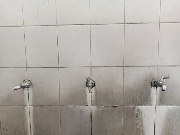Best Carpet water damage restoration  in Riverdale, GA