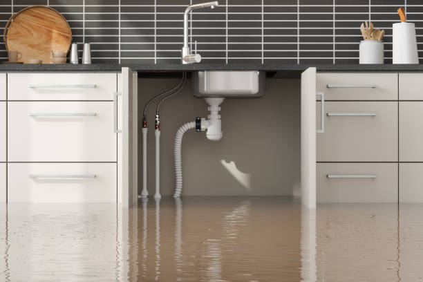 Best Flooded house restoration  in Riverdale, GA